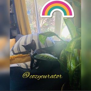 Meet your Posher, Tammie